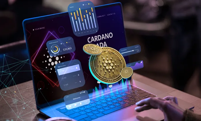 Cryptocurrency options strategy analysis